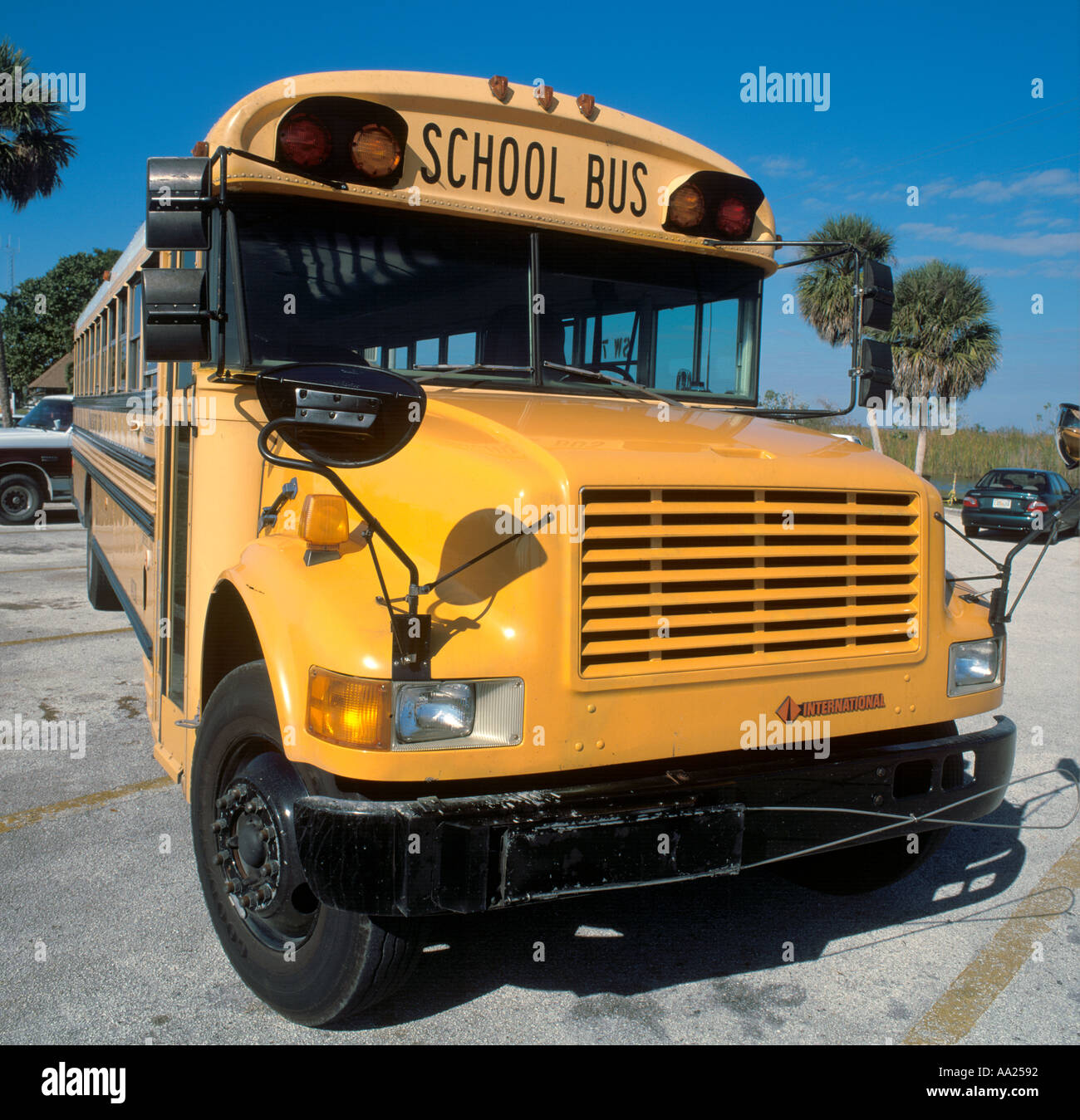 Vor einem gelben Schulbus, Florida, USA Stockfoto
