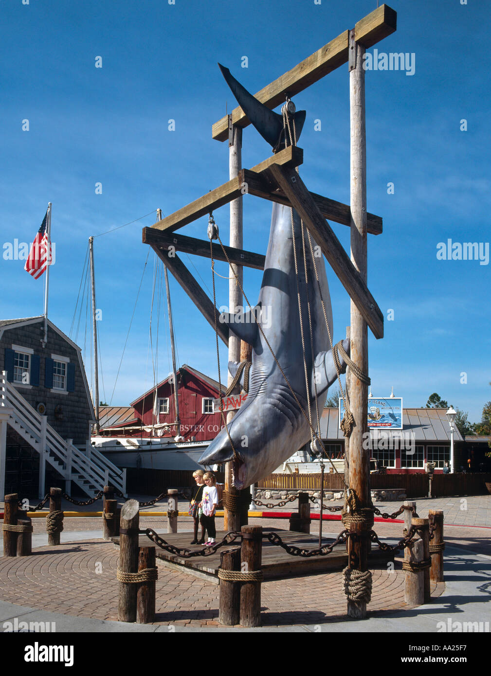 Hai aus Kiefer, Universal Studios in Orlando, Florida, USA Stockfoto