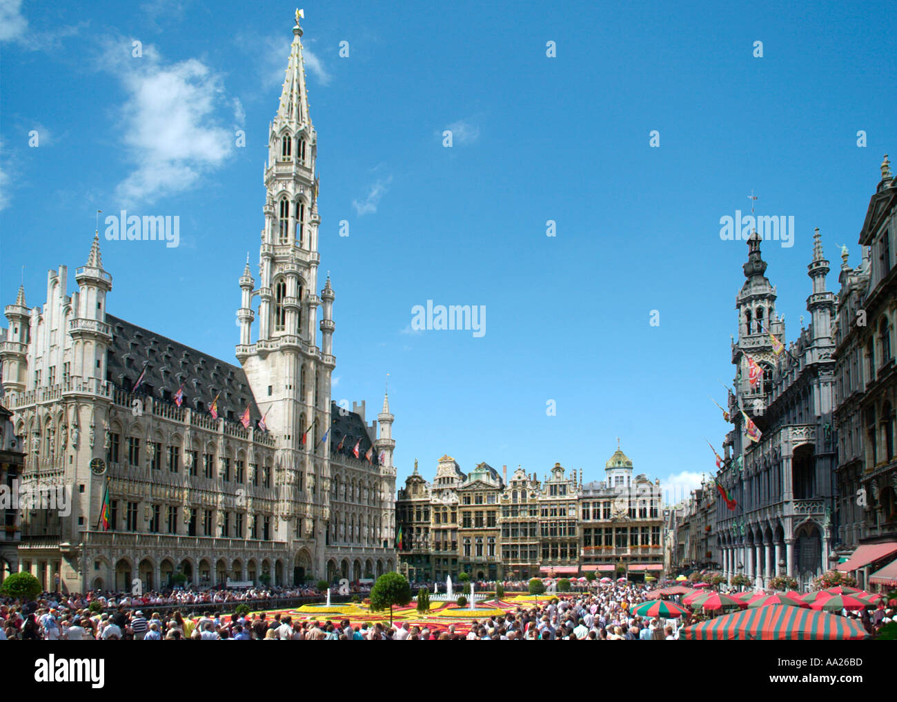 Teppich aus Blumen und dem Hotel de Ville (Rathaus) auf der Grand-Place (Hauptplatz), Brüssel, Belgien Stockfoto