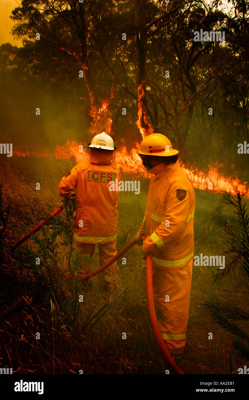 Freiwillige Feuerwehrleute Busch in Australien Stockfoto