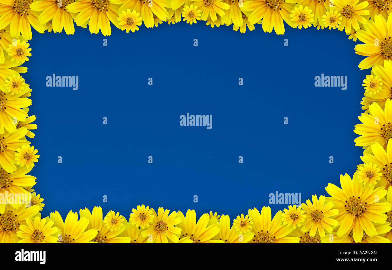Blumenrahmen Stockfoto