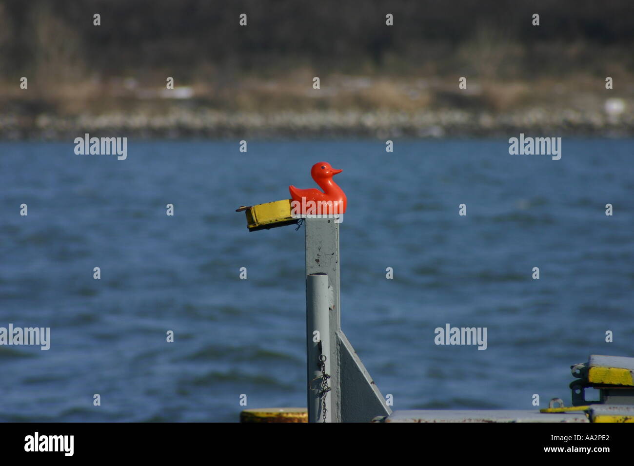 roten Gummiente auf einem Schiff Stockfoto