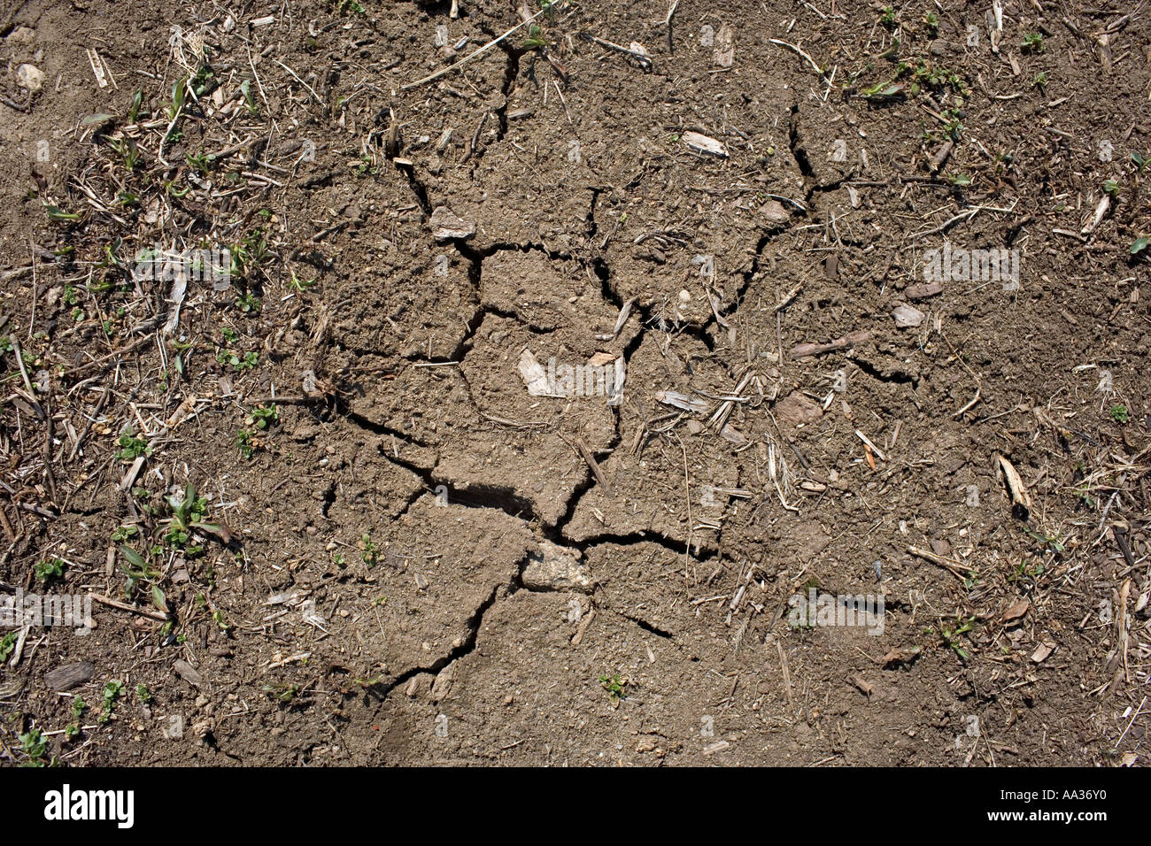 Trockene, ausgedörrte Bauernhof Boden während einer Dürre geknackt Stockfoto