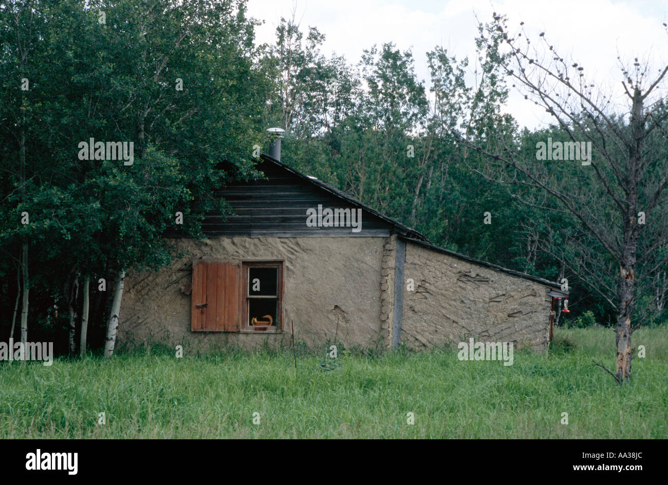 Ein rustikales Holz und Schlamm Altbau durch ukrainische Siedler in Westkanada Stockfoto