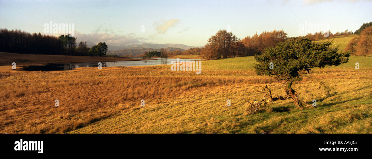 Kluge Een Tarn Seenplatte Cumbria England UK Stockfoto