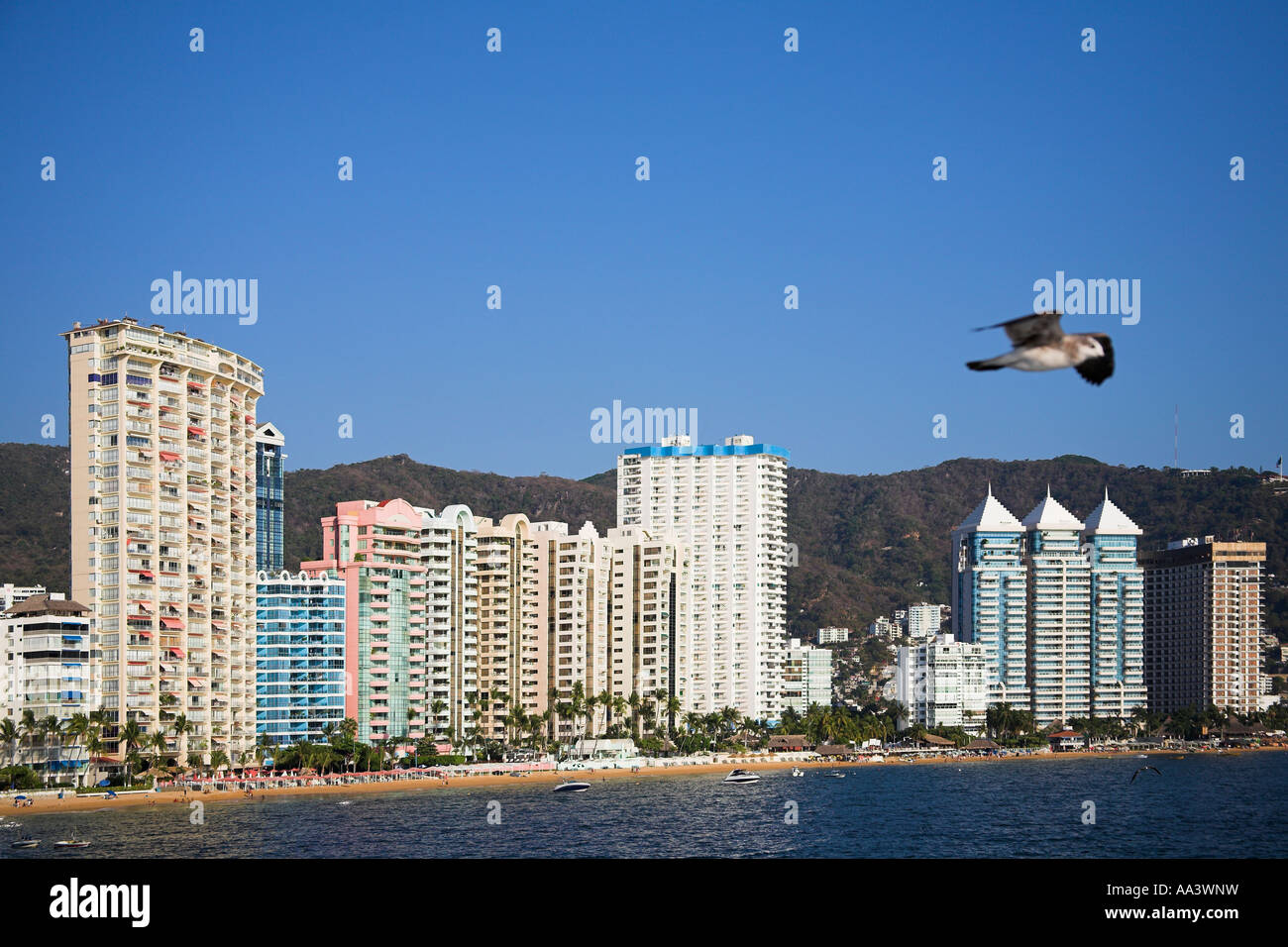 Eigentumswohnungen und Hotels neben Strand, Bucht von Acapulco, Acapulco, Bundesstaat Guerrero, Mexiko Stockfoto