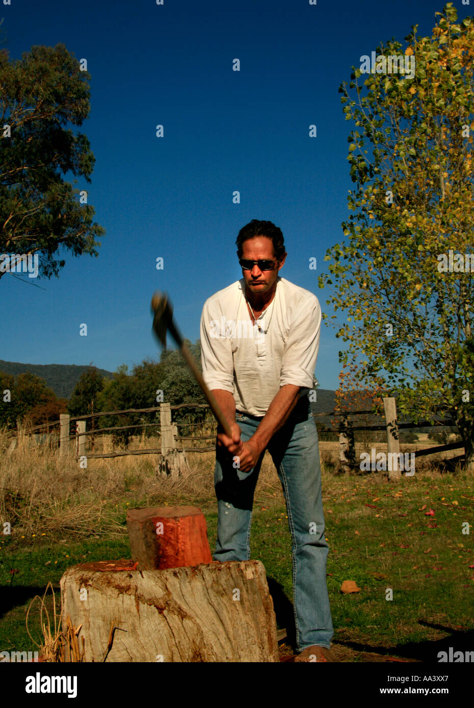 Ein Mann teilt River Red Gum Brennholz in Australien. Stockfoto