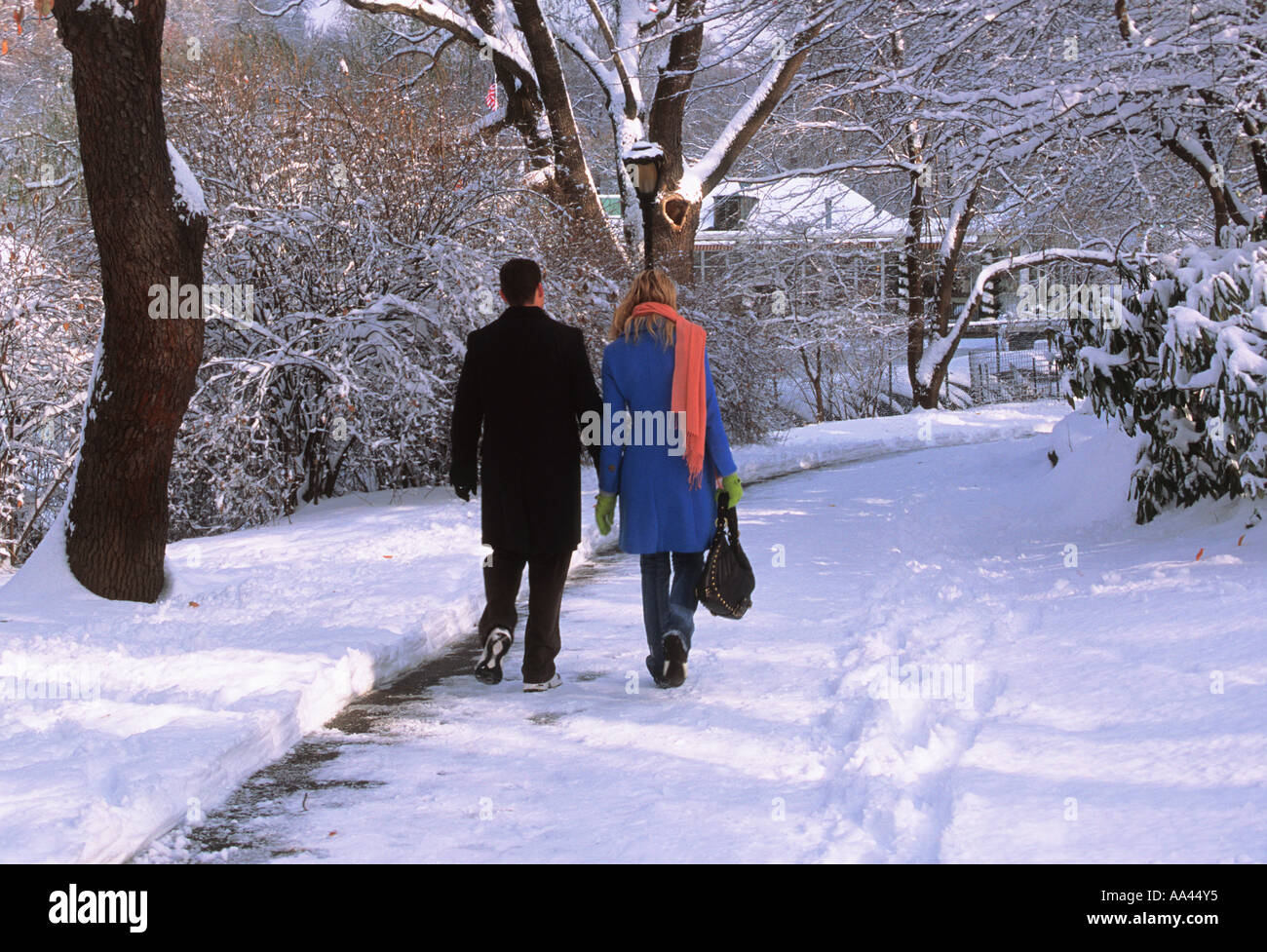 Ein Paar, das nach einem Schneesturm durch den Park spaziert und Händchen hält. New York City Central Park. Junge Romantik in einer großen Stadt Stockfoto