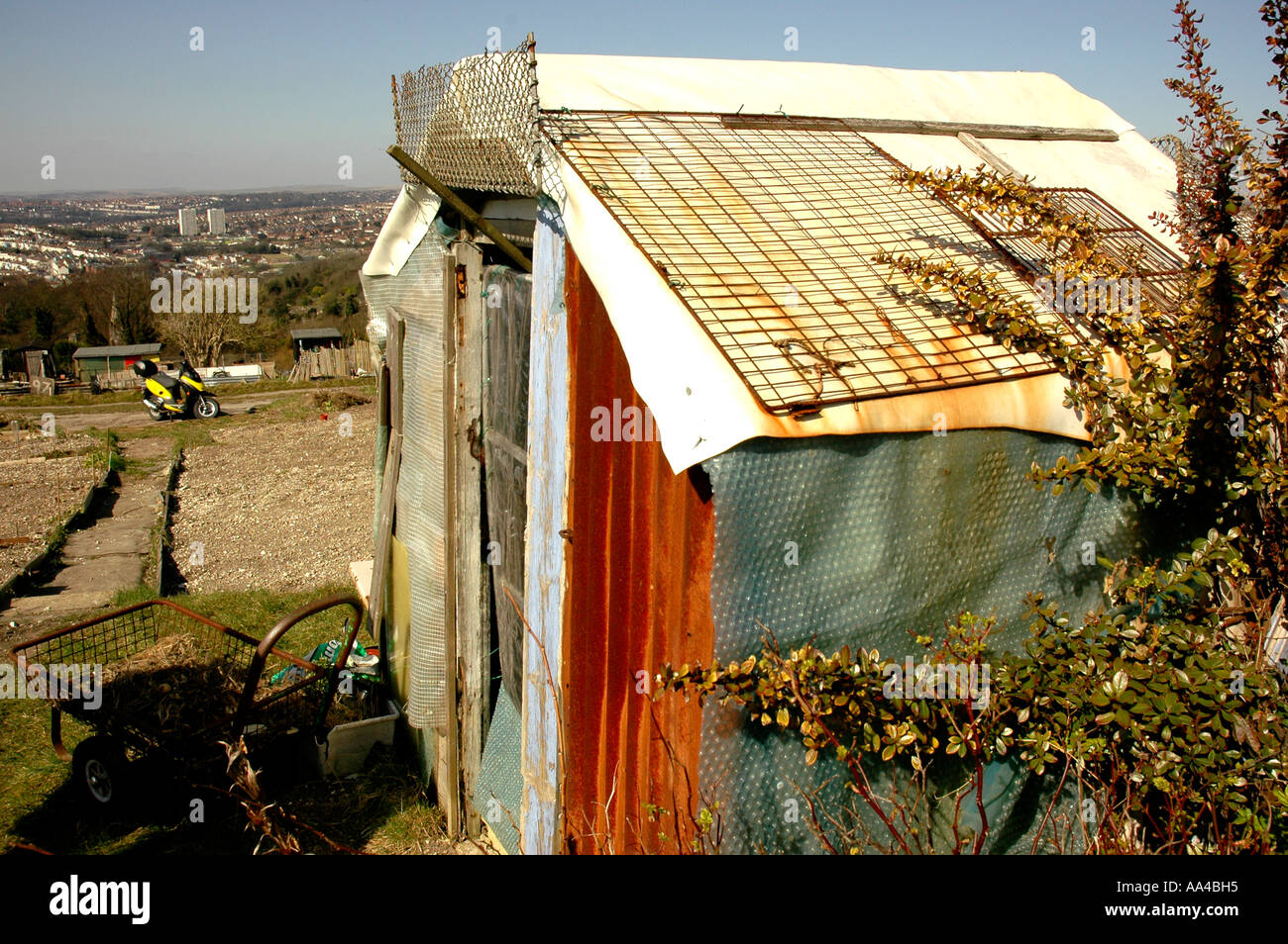 Allotment Shed, East Sussex. Stockfoto