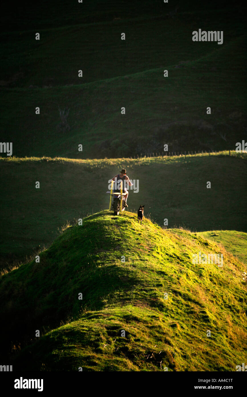 Taranaki Landwirt Bryan Hocken zeigt die Fahrrad notwendigen Fähigkeiten, um Bauernhof im Hügel-Land-Neuseeland Stockfoto