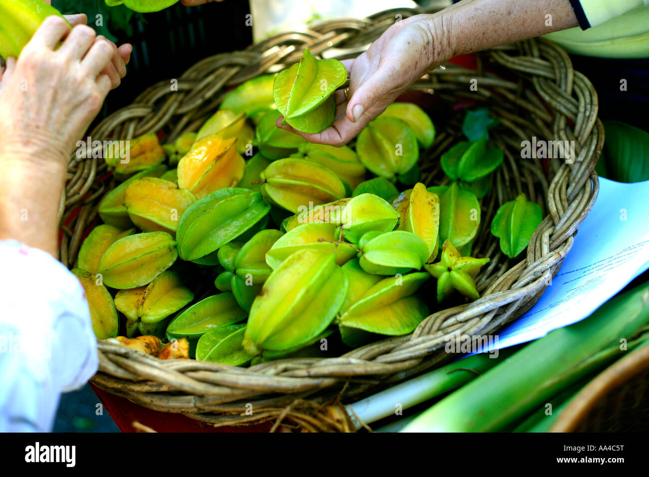 Frische tropische Jackfrucht zum Verkauf an Byron Bay produzieren Märkte NSW Australia Stockfoto