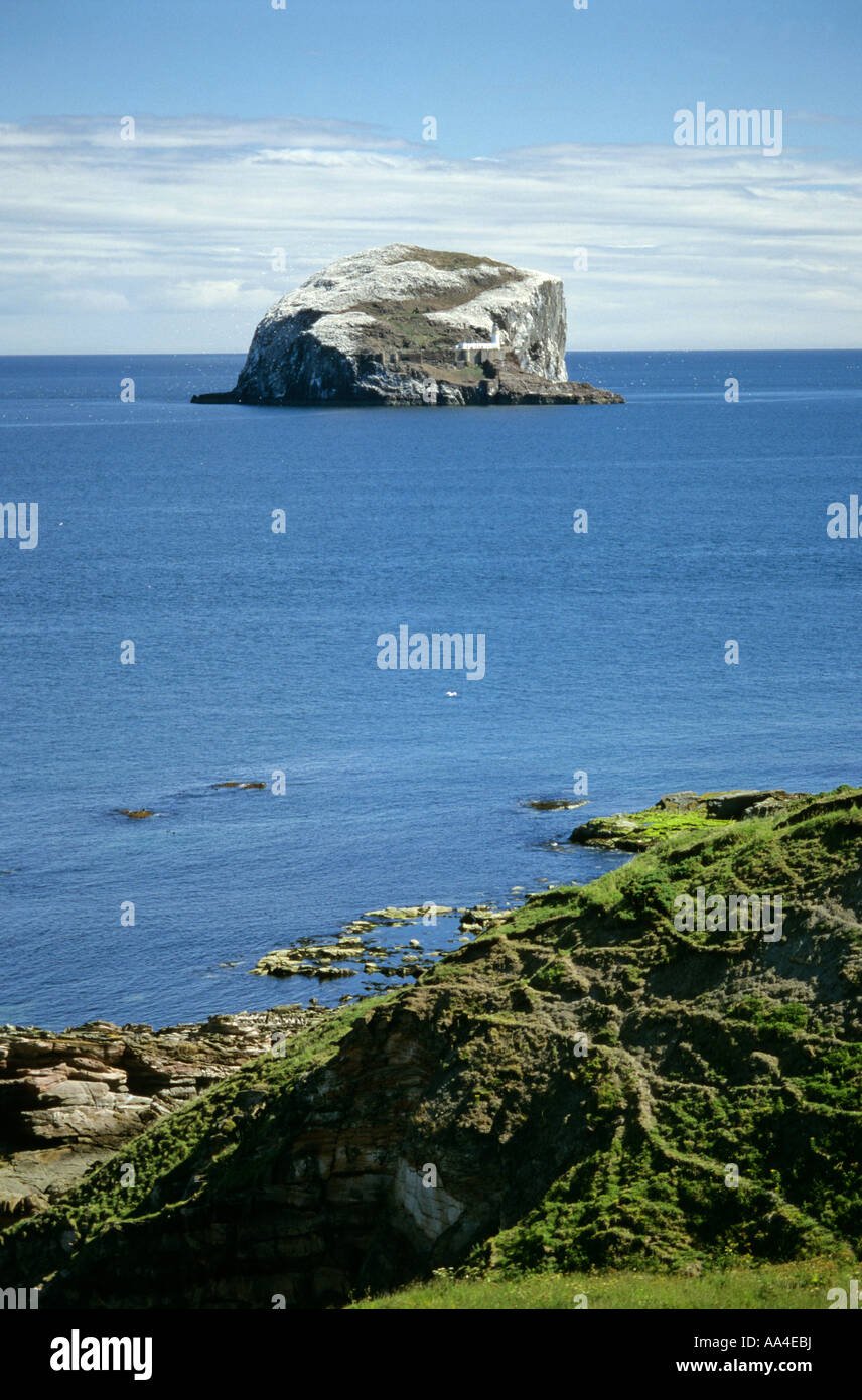 Bass Rock vom Festland aus gesehen Stockfoto