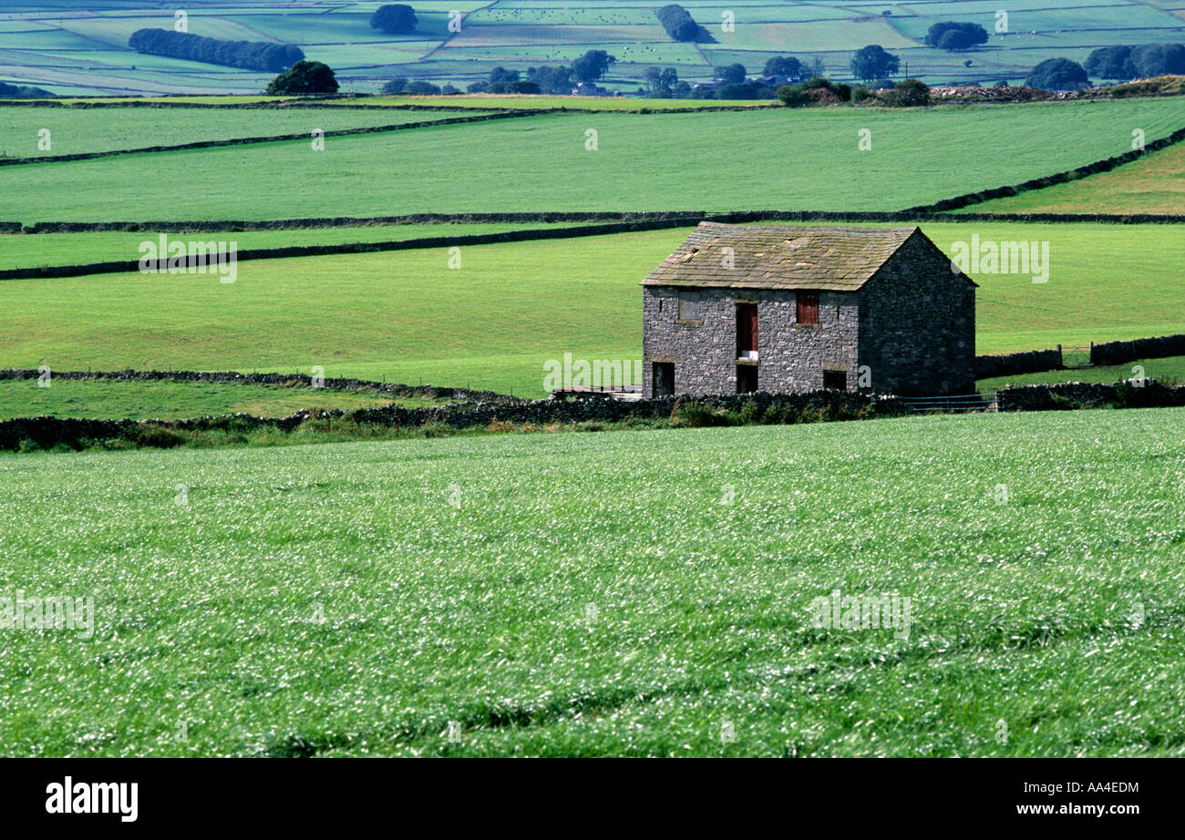 Scheune in der Peak District National Park Stockfoto