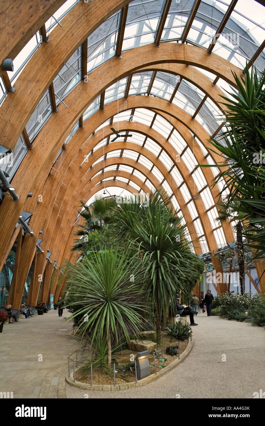 Sheffield Millenniums-Garten Stockfoto