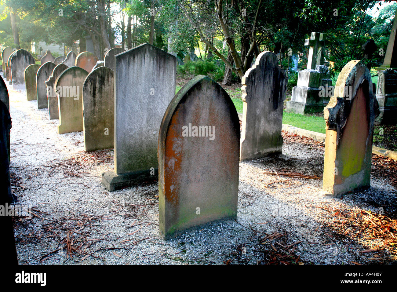 Eine Reihe von Sandstein Grabsteine hinterleuchtete in der Morgensonne Stockfoto
