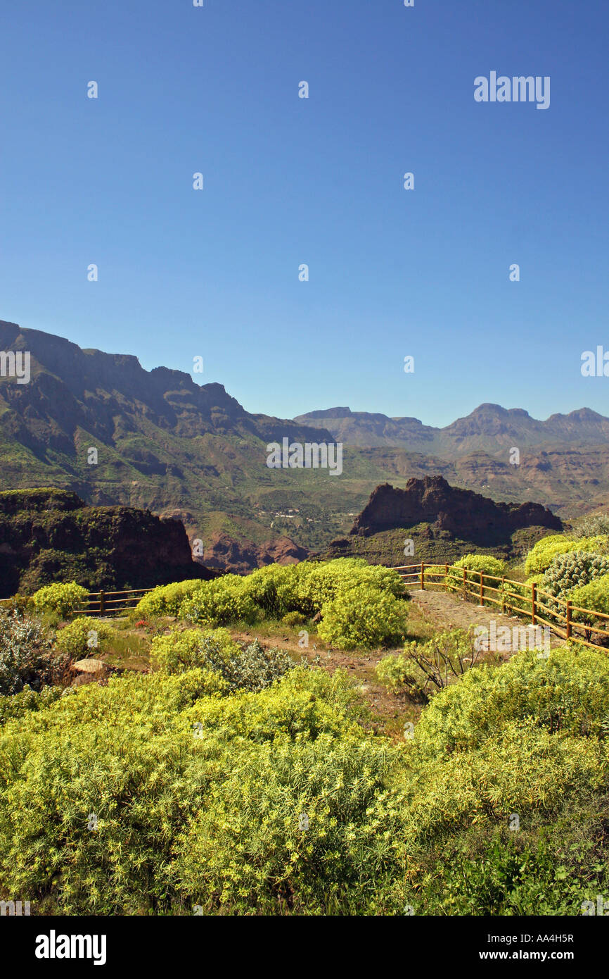 MIRADOR EL GURIETE. DER BARRANCO de TIRAJANA. GRAN CANARIA. KANARISCHEN INSELN. EUROPA. Stockfoto