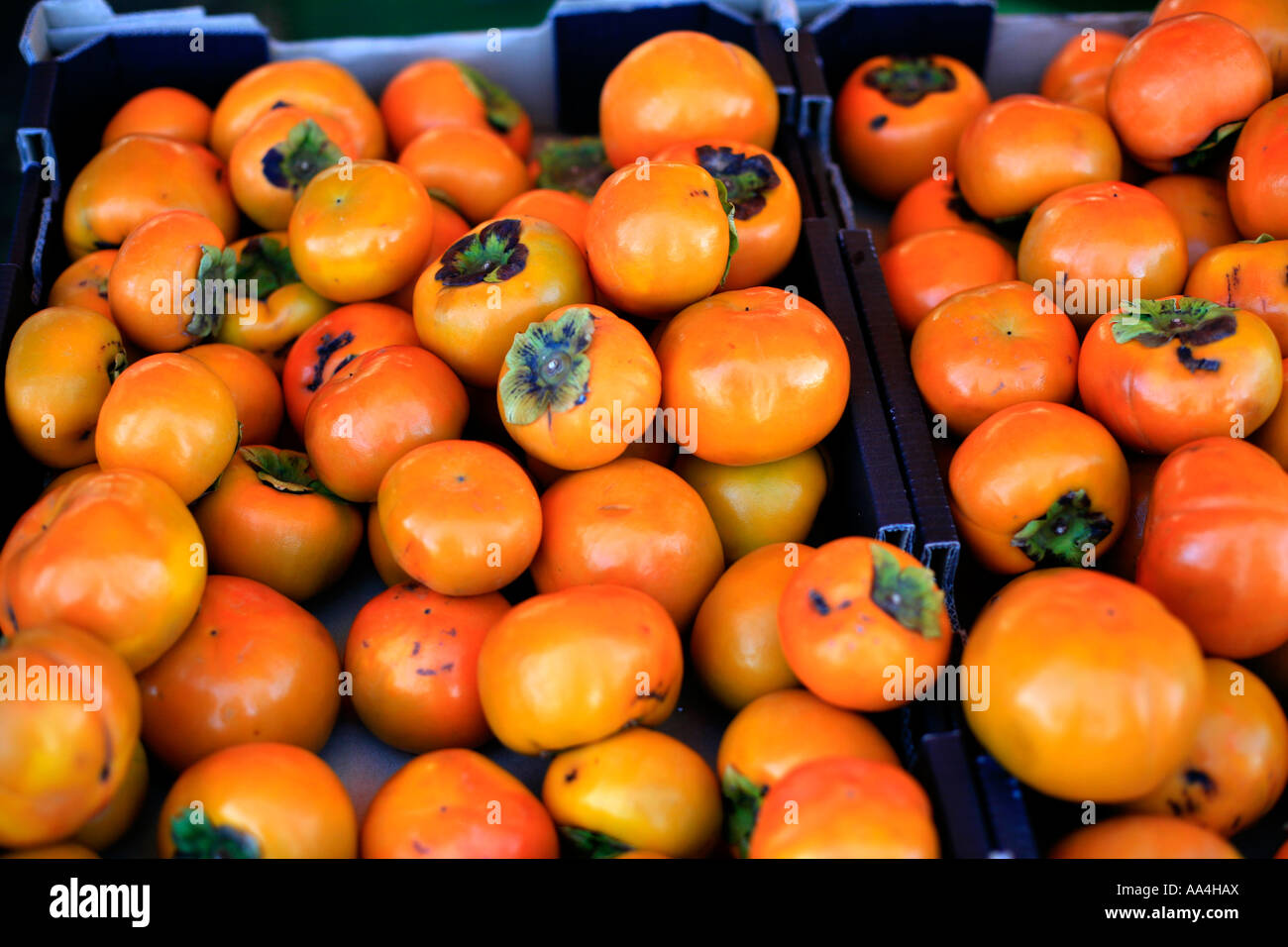 Kaki Früchte zum Verkauf an die Byron Bay produzieren vermarktet Northern NSW Australia Stockfoto