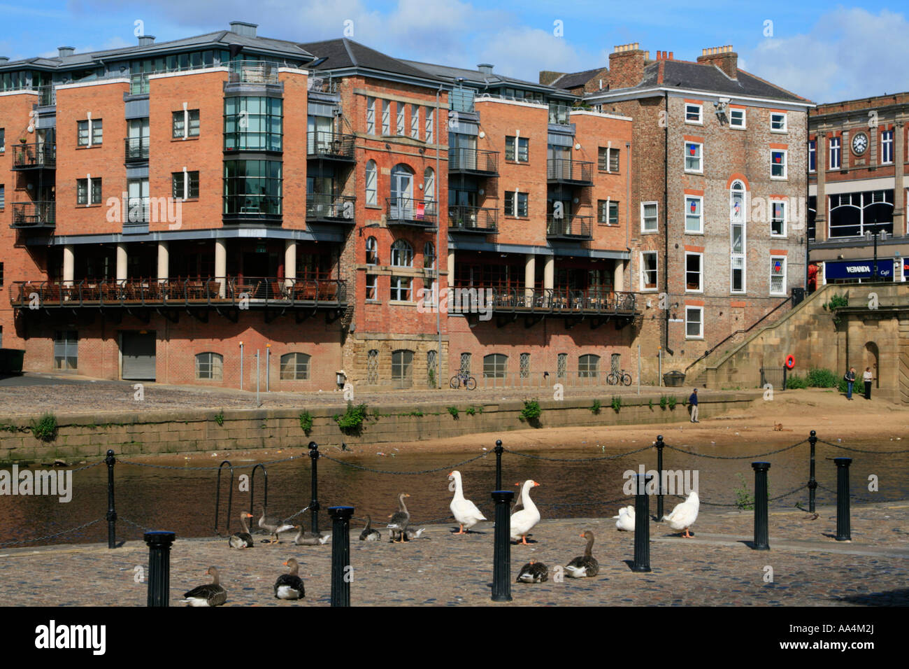 Könige, Königinnen Staithe Gänse Blick über Fluss Ouse Stadt York Großbritannien Europa Stockfoto