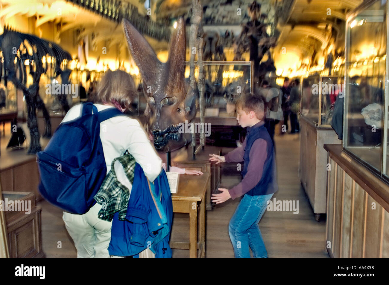 Paris Frankreich, Familie mit Kindern, Besuch, Museumsabend im Dinosauriermuseum, Museumshistoire naturelle paris Stockfoto