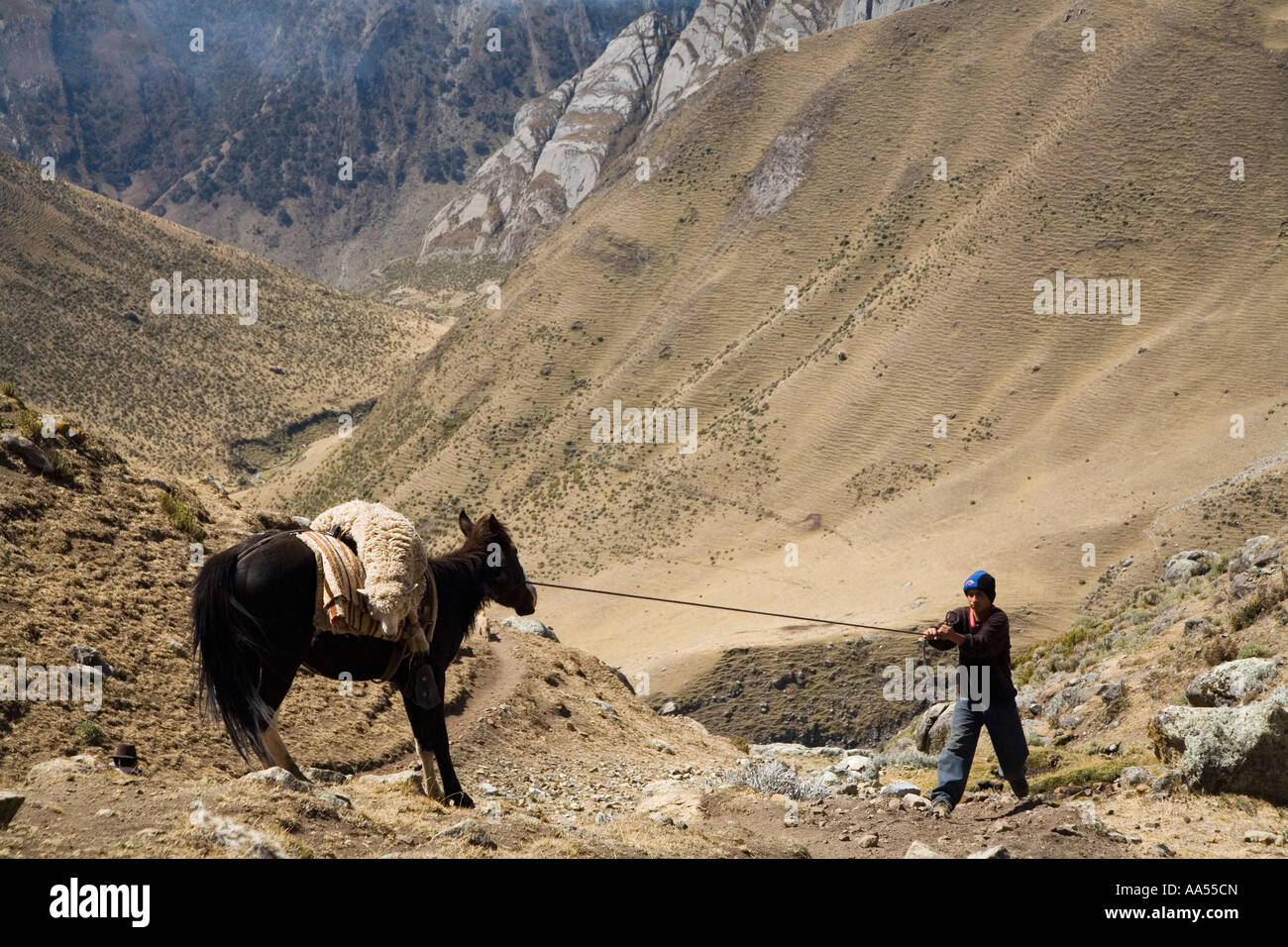 Junge zieht seinen widerspenstigen Pferd bergab in der Cordillera Huayhuash, Peru Stockfoto
