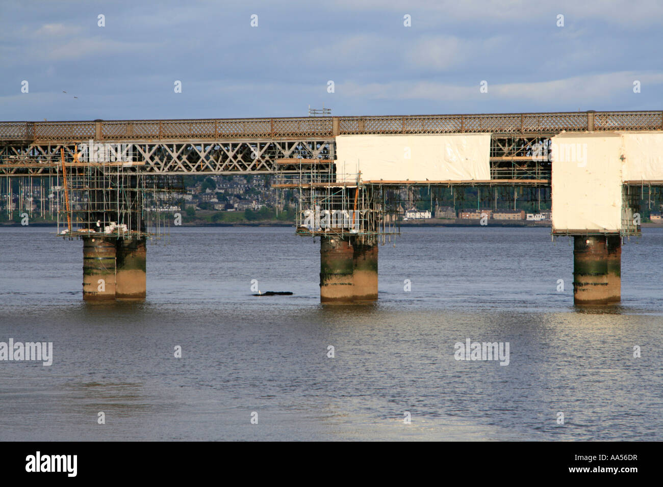 Fluß Tay Eisenbahn Brücke Tay Mündung eingerüstet Renovierung Schottland uk gb Stockfoto