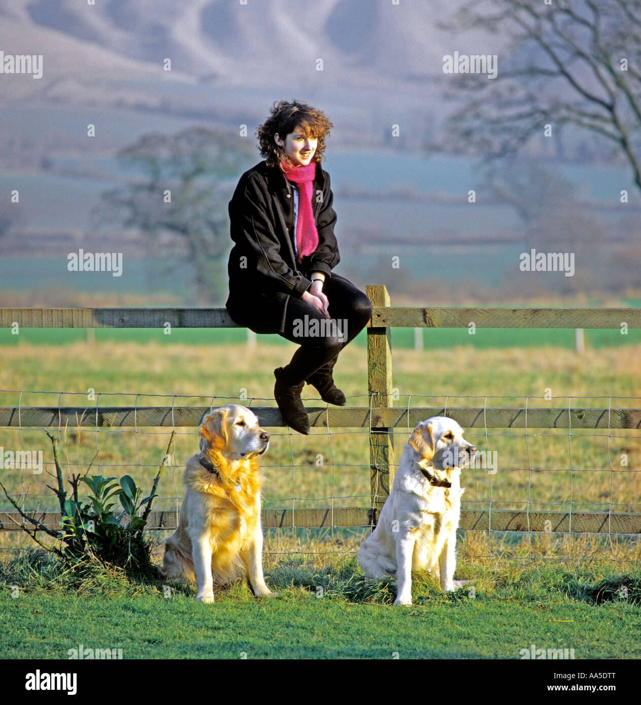 Junger Teenager mit ihren zwei golden Retriever Hunde in Wiltshire Landschaft England UK EU Stockfoto