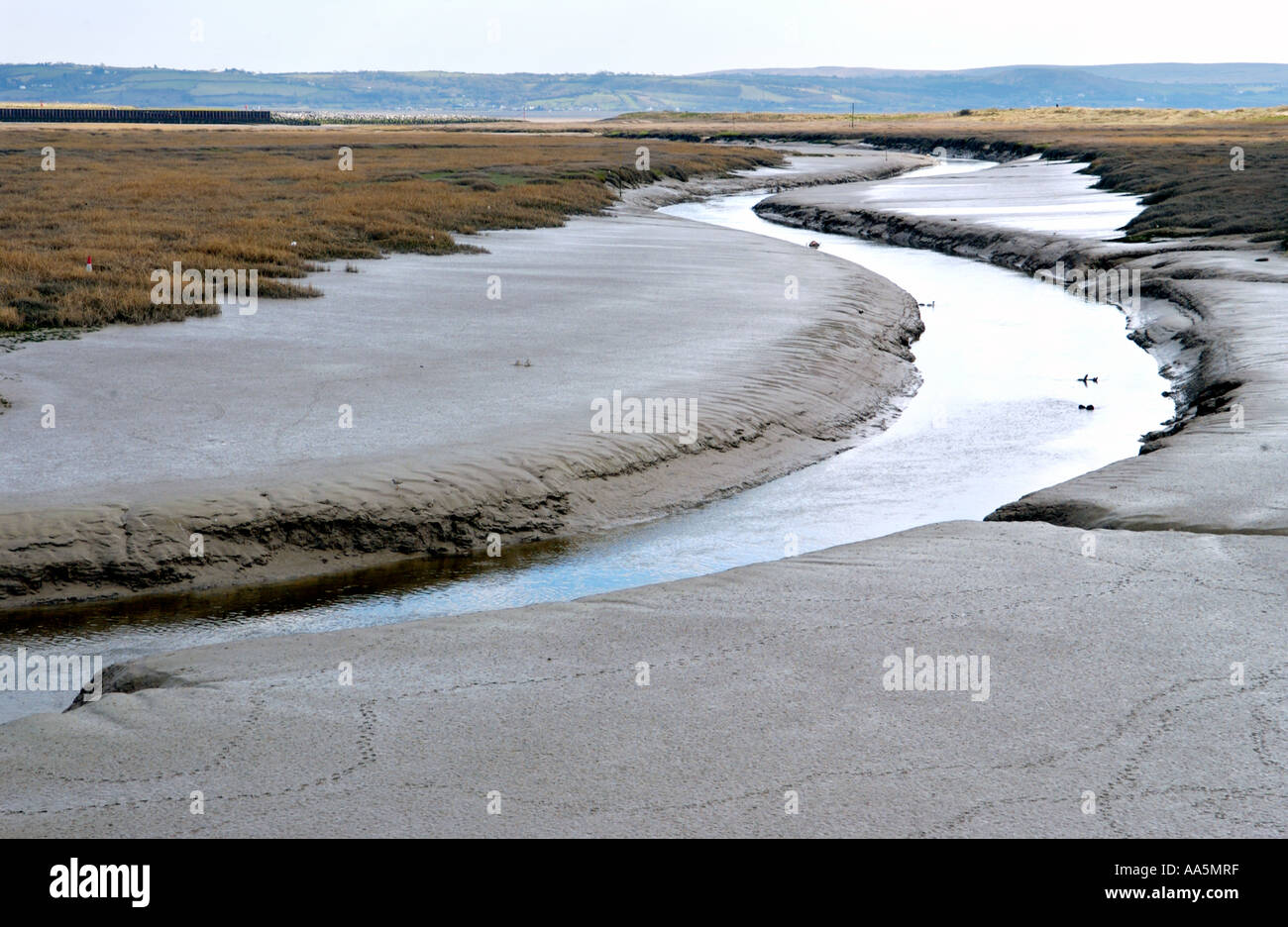 Mündung Wattwanderungen an der Millennium Coastal Park Llanelli Carmarthenshire South West Wales UK Stockfoto