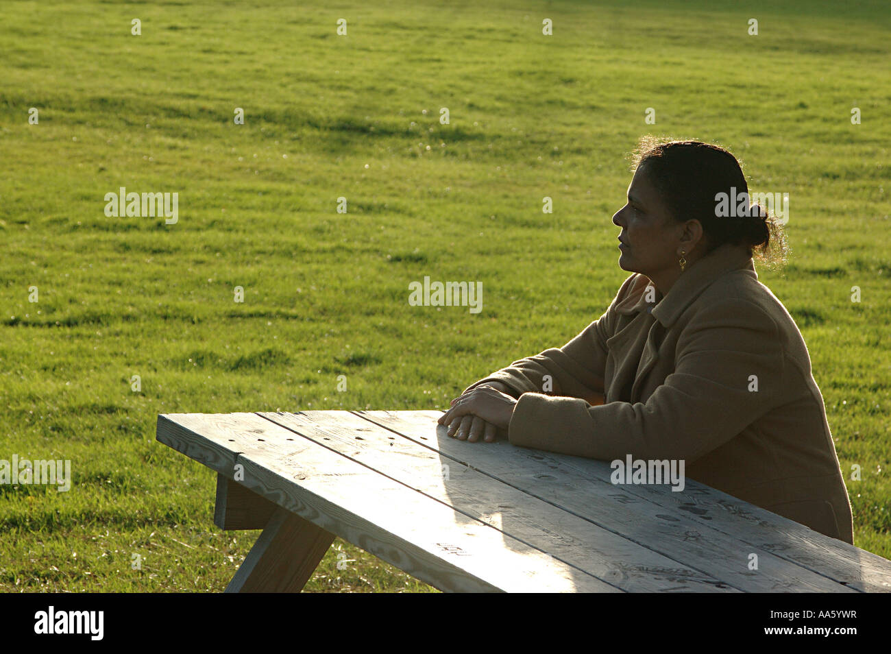 Indische Dame sitzt auf Holzbank Schweden Model Release-Nummer 468 Stockfoto