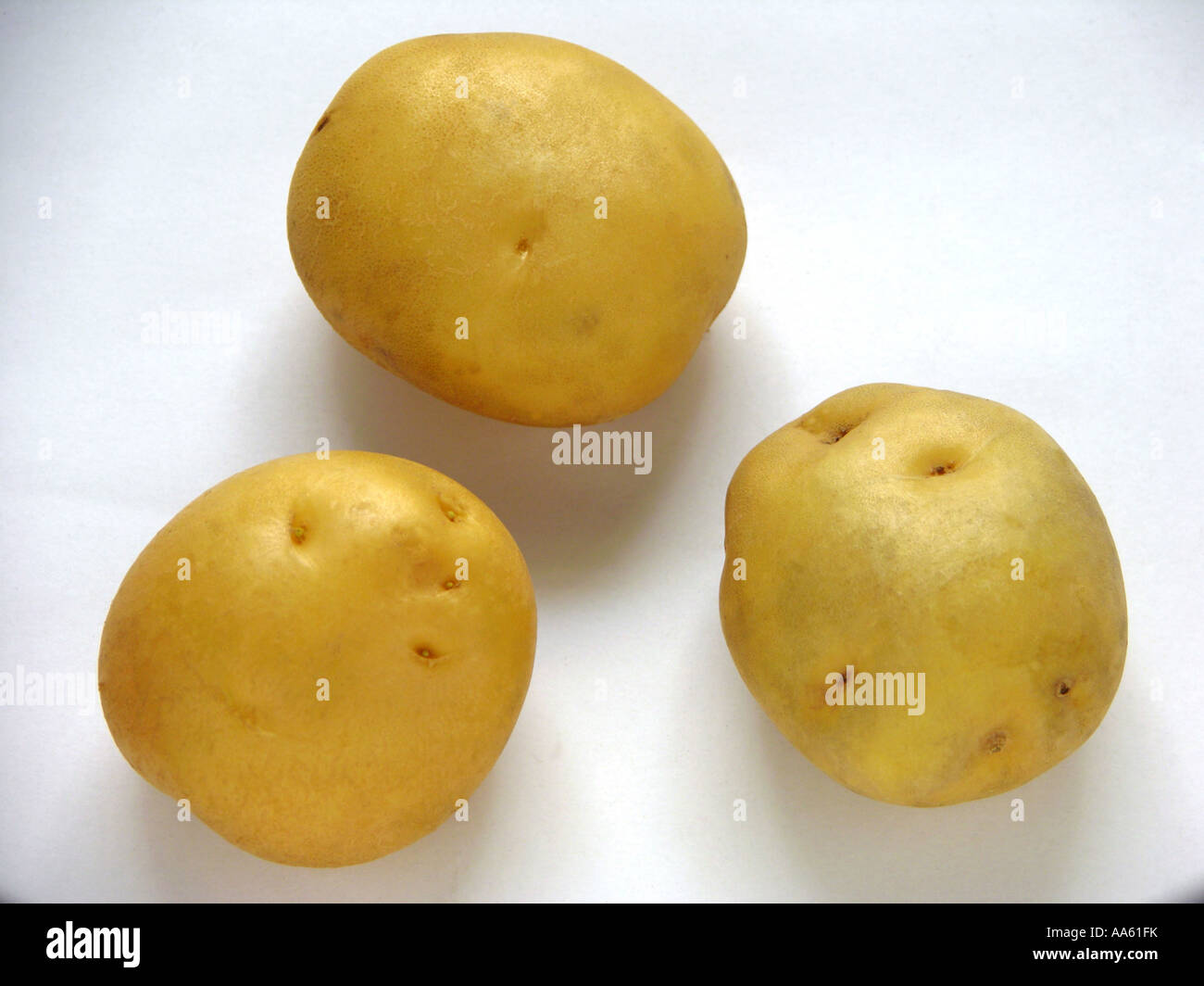 Kartoffeln drei Stücke auf weißem Hintergrund Stockfoto