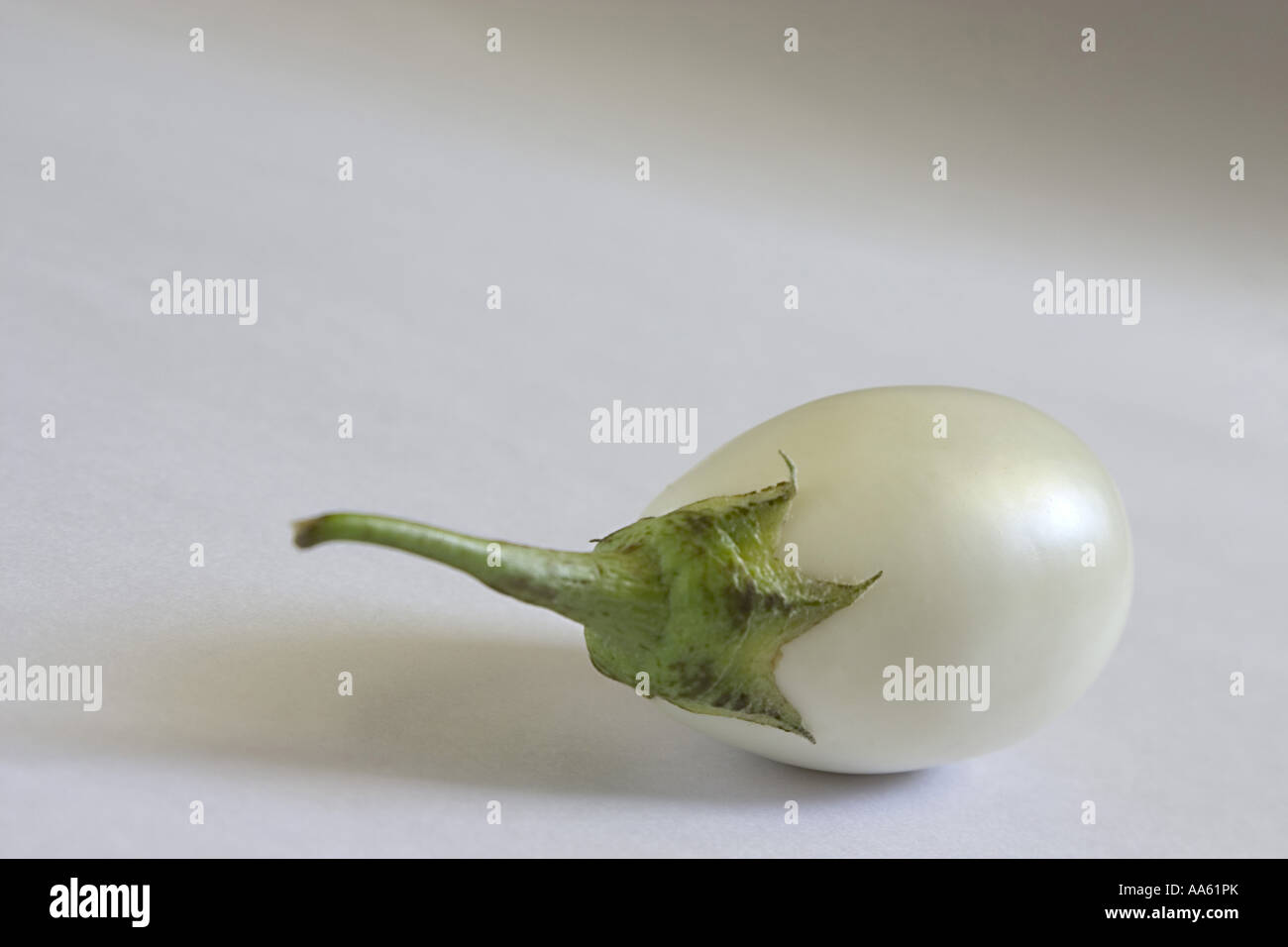 NVM104294 Gemüse eine weiße Aubergine Baingan Auberginen Aubergine Indien Stockfoto