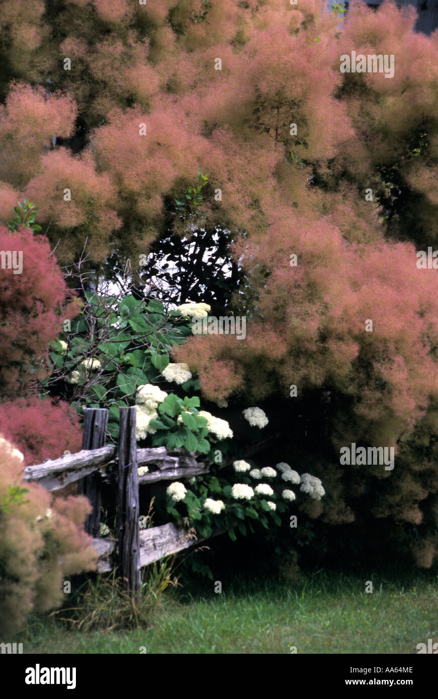 Insel der Nouvelle Orleans Provinz Quebec Kanada Stockfoto
