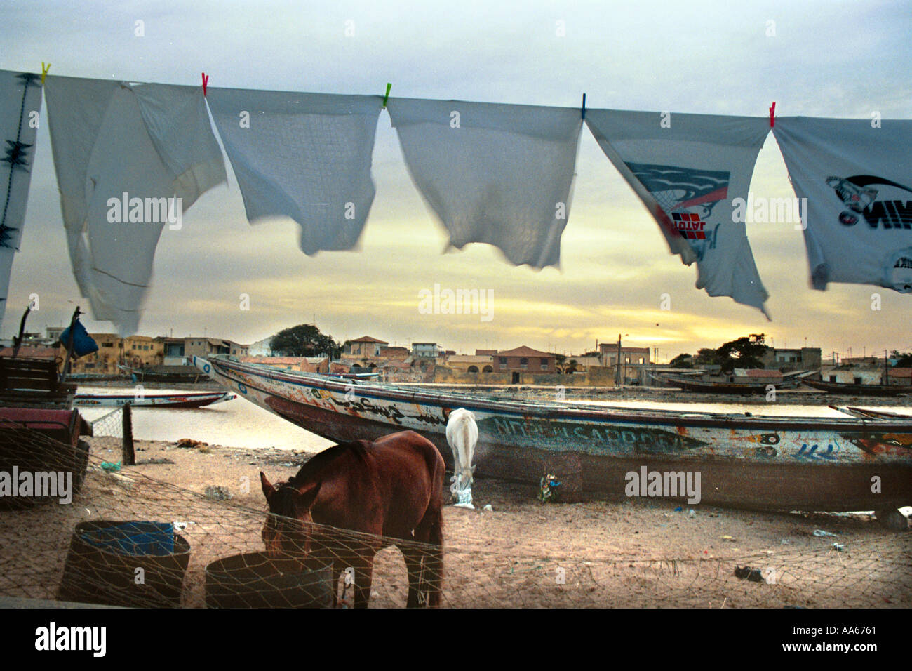 Senegalesische Händler füttern ihre Pferde bei Sonnenaufgang vor die einheimischen Fischern in der Tage der Ernte, in der Stadt St. gebracht haben Stockfoto