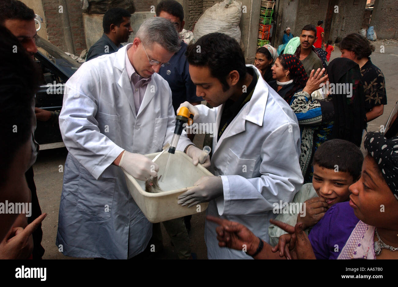 LCDR Dr. Daniel E Szumlas Gläser und Techniker Alaa A Taher FSN Auslandsdienst nationalen untersuchen eine Ratte gefangen einen Tag früher Stockfoto