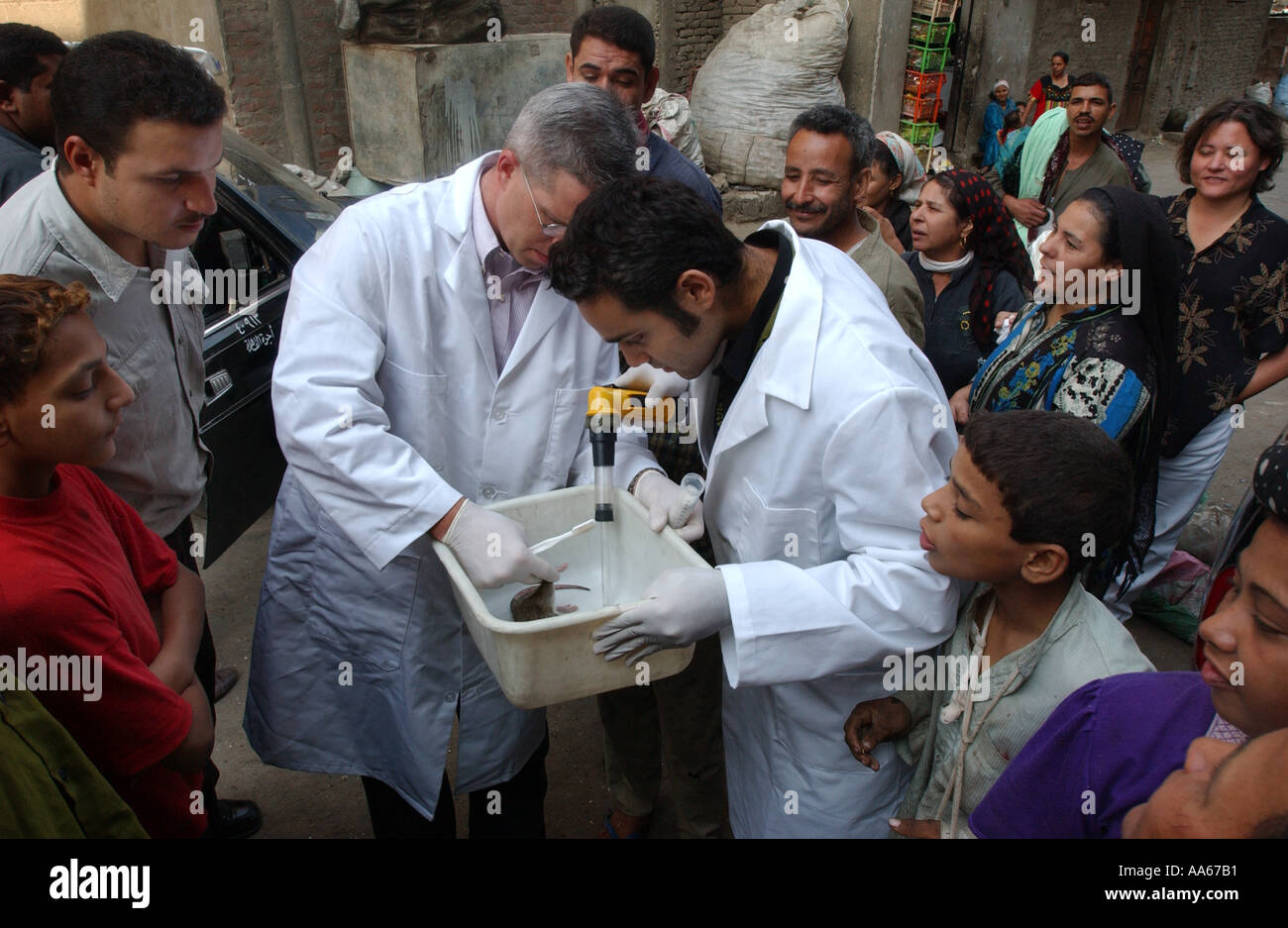 LCDR Dr. Daniel E Szumlas Gläser und Techniker Alaa A Taher FSN Auslandsdienst nationalen untersuchen eine Ratte gefangen einen Tag früher Stockfoto