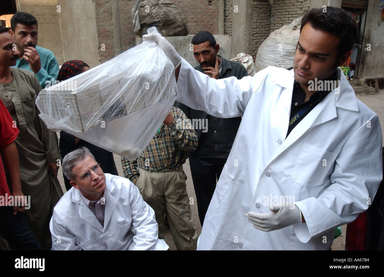 LCDR Dr. Daniel E Szumlas Gläser und Techniker Alaa A Taher FSN Auslandsdienst nationalen untersuchen eine Ratte gefangen einen Tag früher Stockfoto