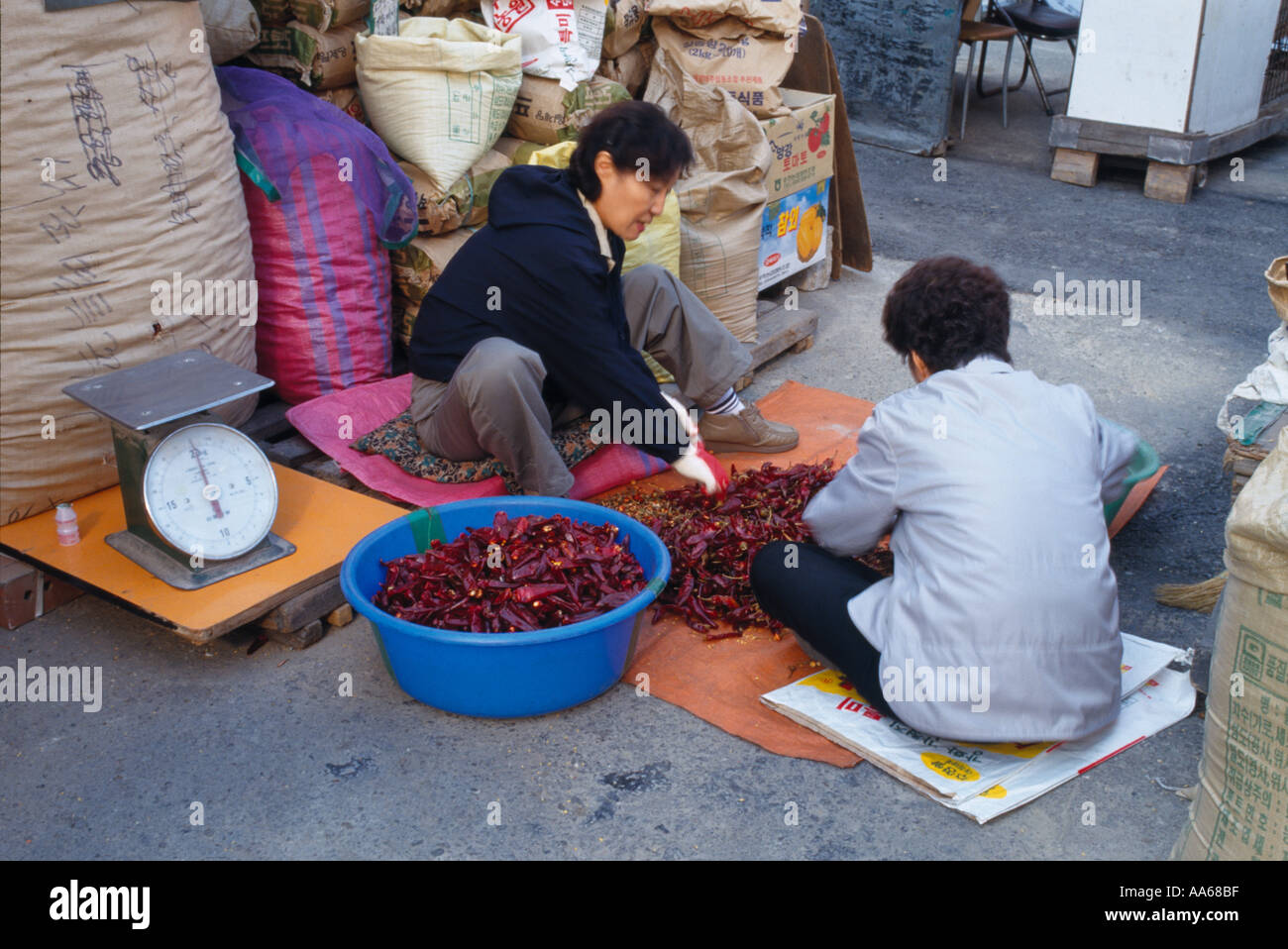Koreanische Frauen in Jung Ang Markt Hwanghak Dong Sortierung Getrocknete Chilischoten Seoul Stockfoto