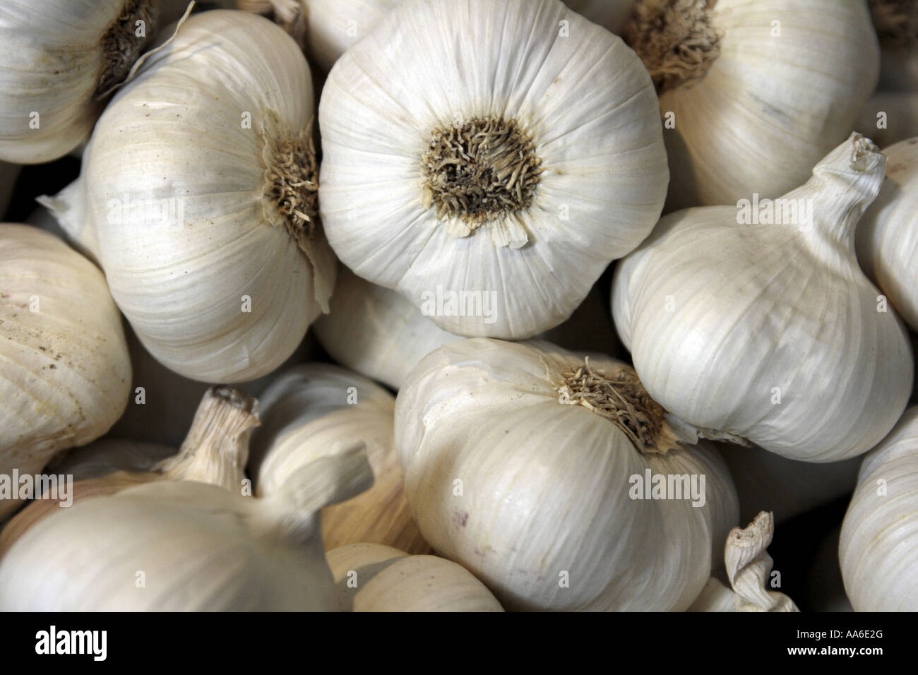 Knoblauch zum Verkauf auf einem Markt in Paris Stockfoto