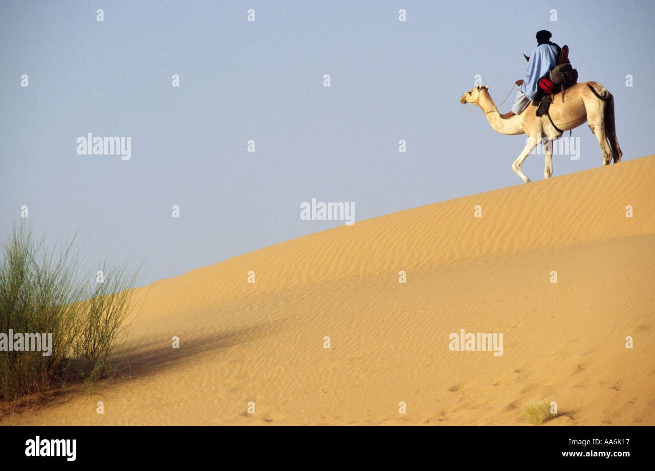Kamel trekking - Timbuktu, MALI Sahara Wüste Stockfoto