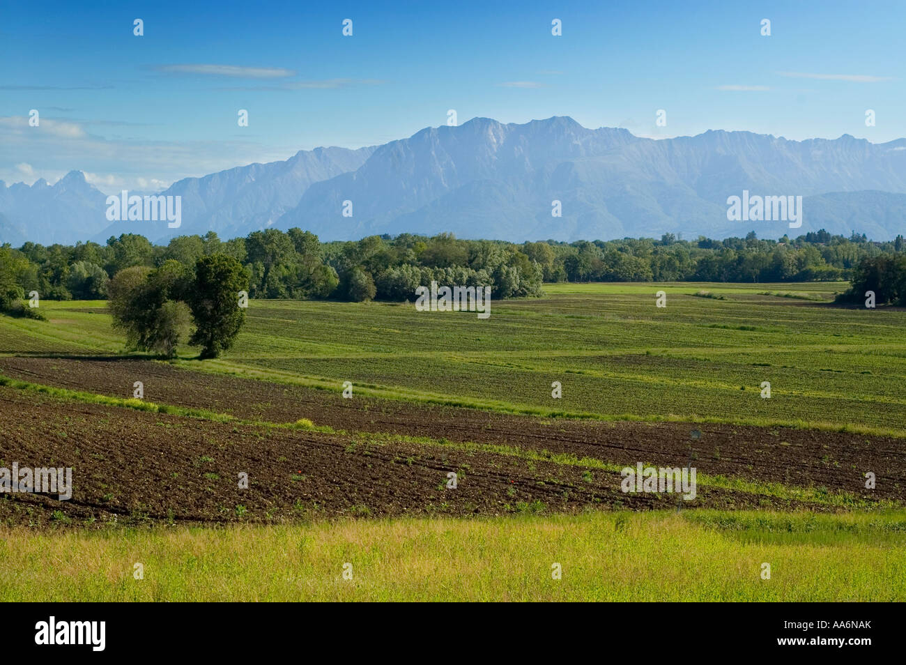 Eine Landschaft Friaul mit den Alpen im Hintergrund Stockfoto