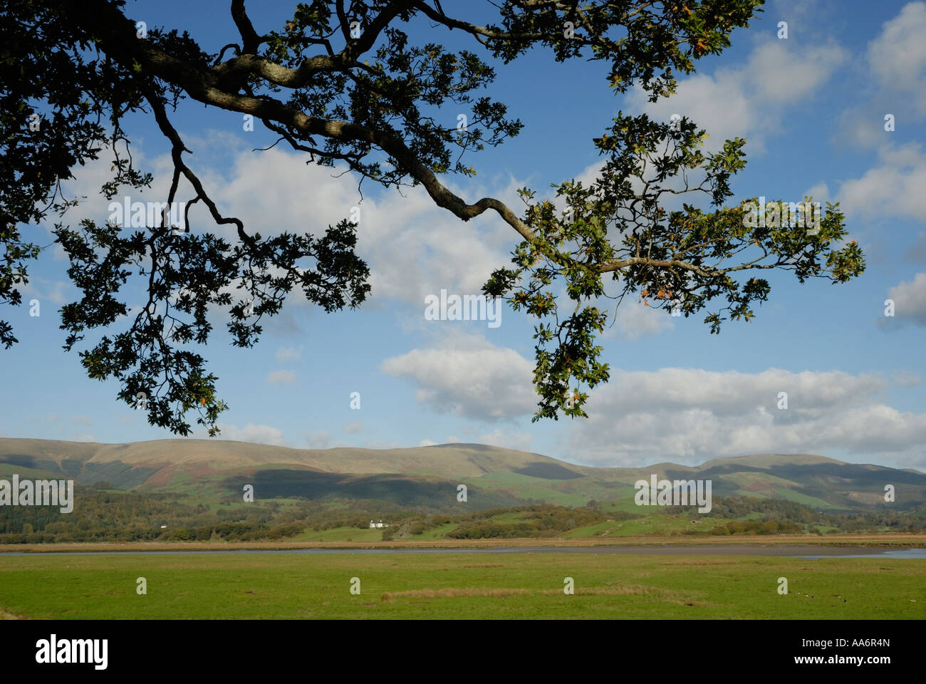 Blick über die dyfi Mündung bis zu den Ausläufern des Snowdonia von Ynys hir RSPB Reservat, Wales, UK. Stockfoto