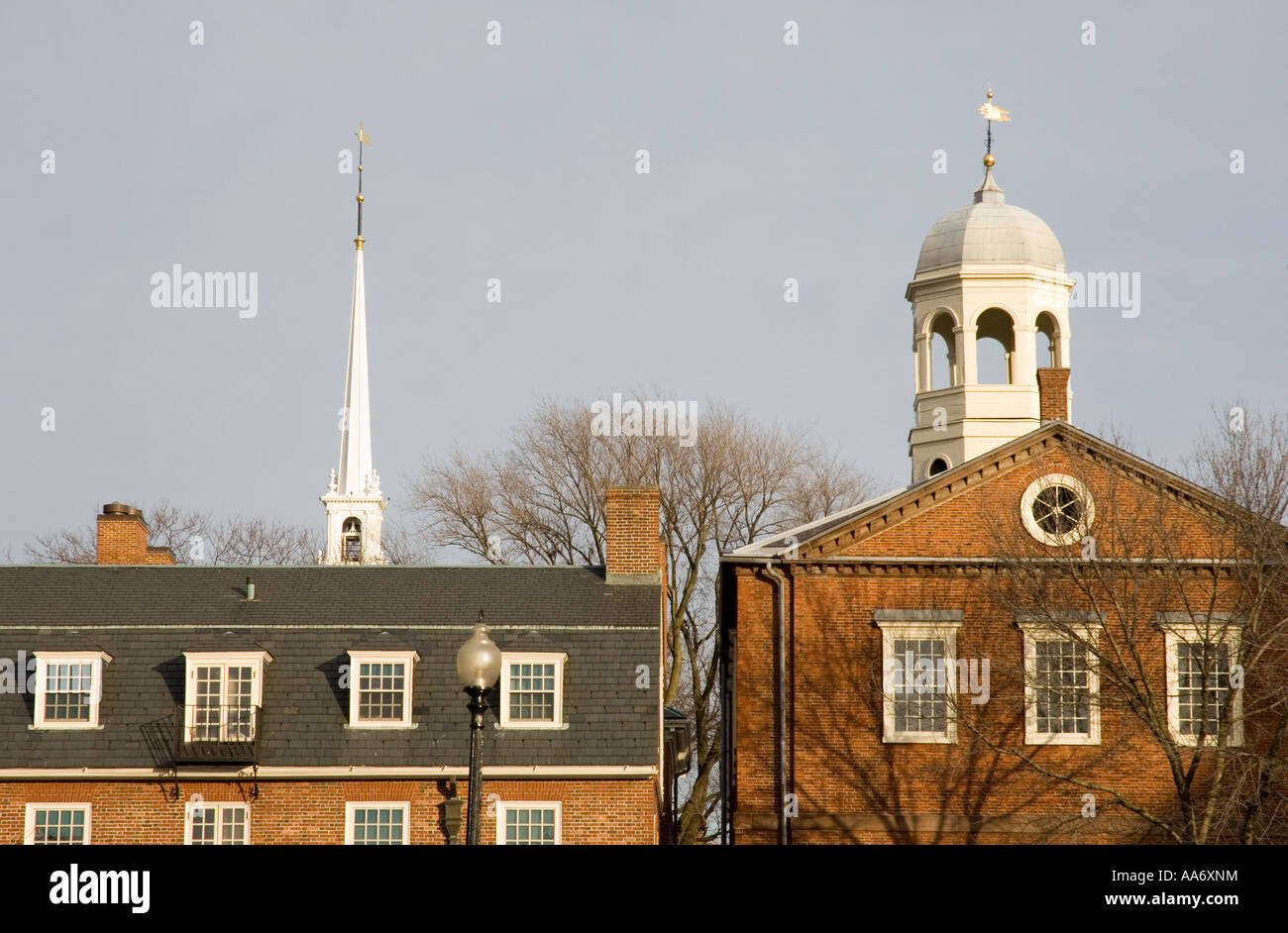 Szene von der Harvard University in Cambridge, Massachusetts Stockfoto