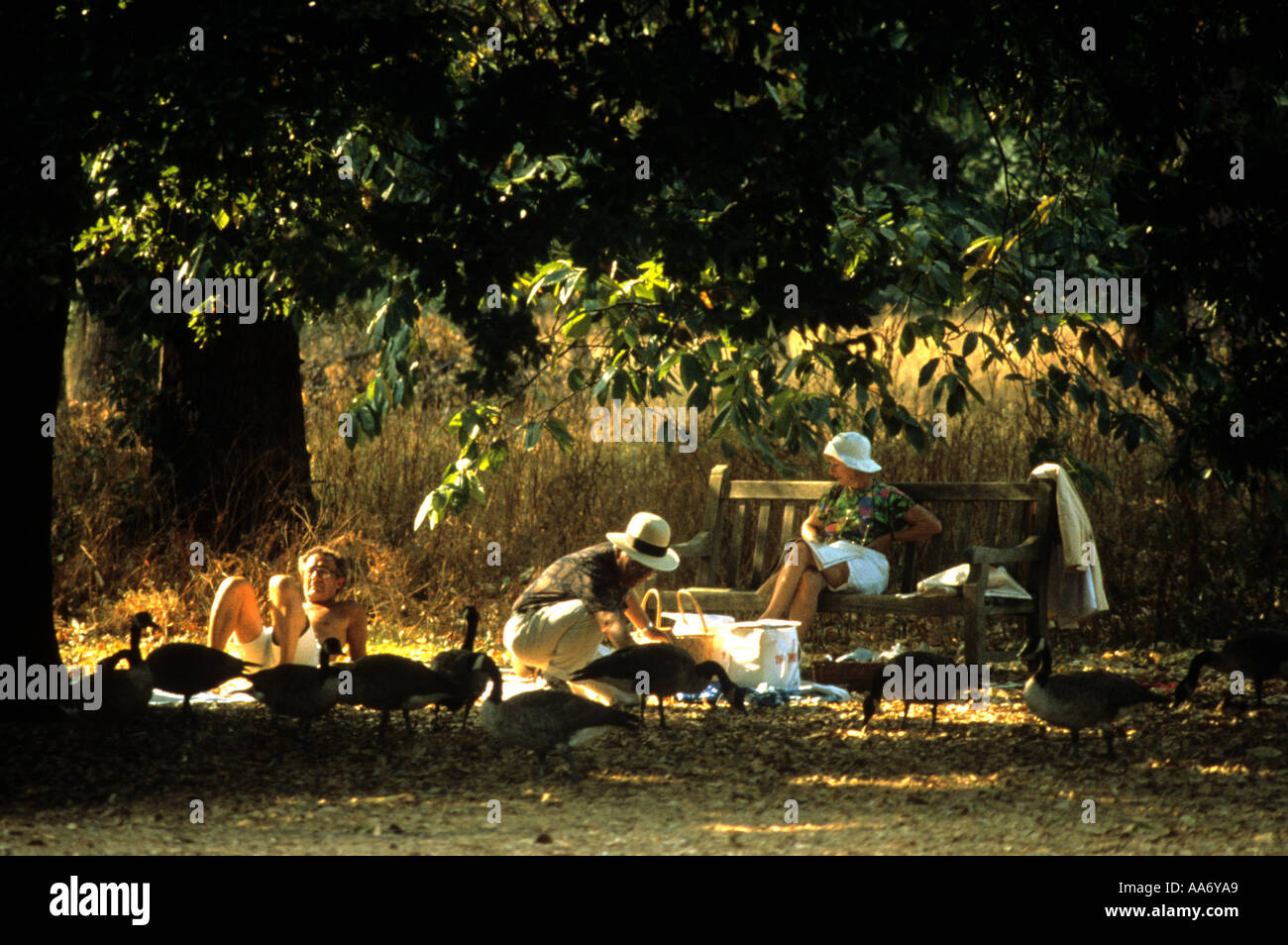 Picknick-Szene in Kew Gardens London England UK Stockfoto