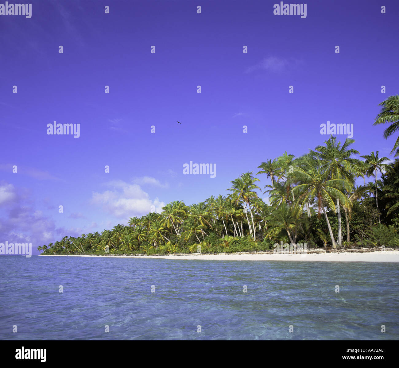Tetiaroa Französisch-Polynesien Stockfoto