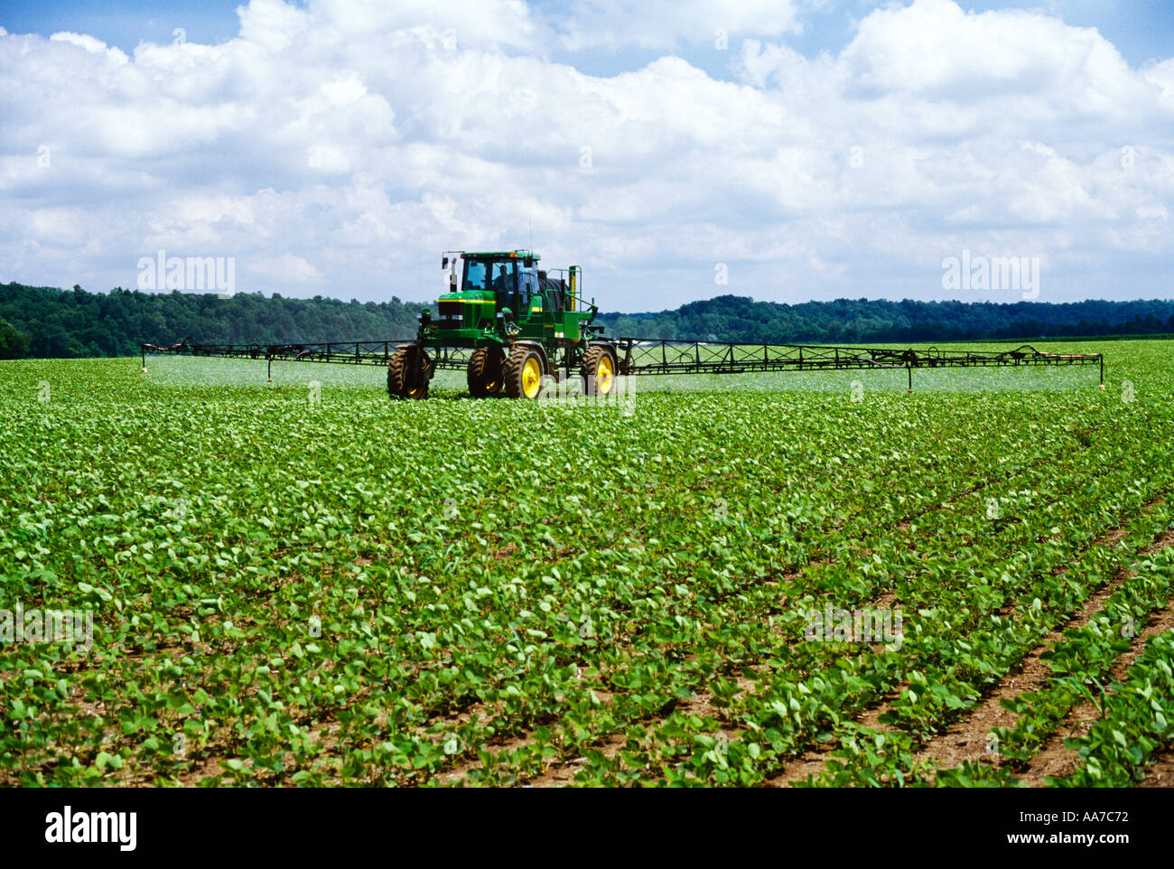 Tennessee Landwirtschaft Stockfotos Und Bilder Kaufen Alamy
