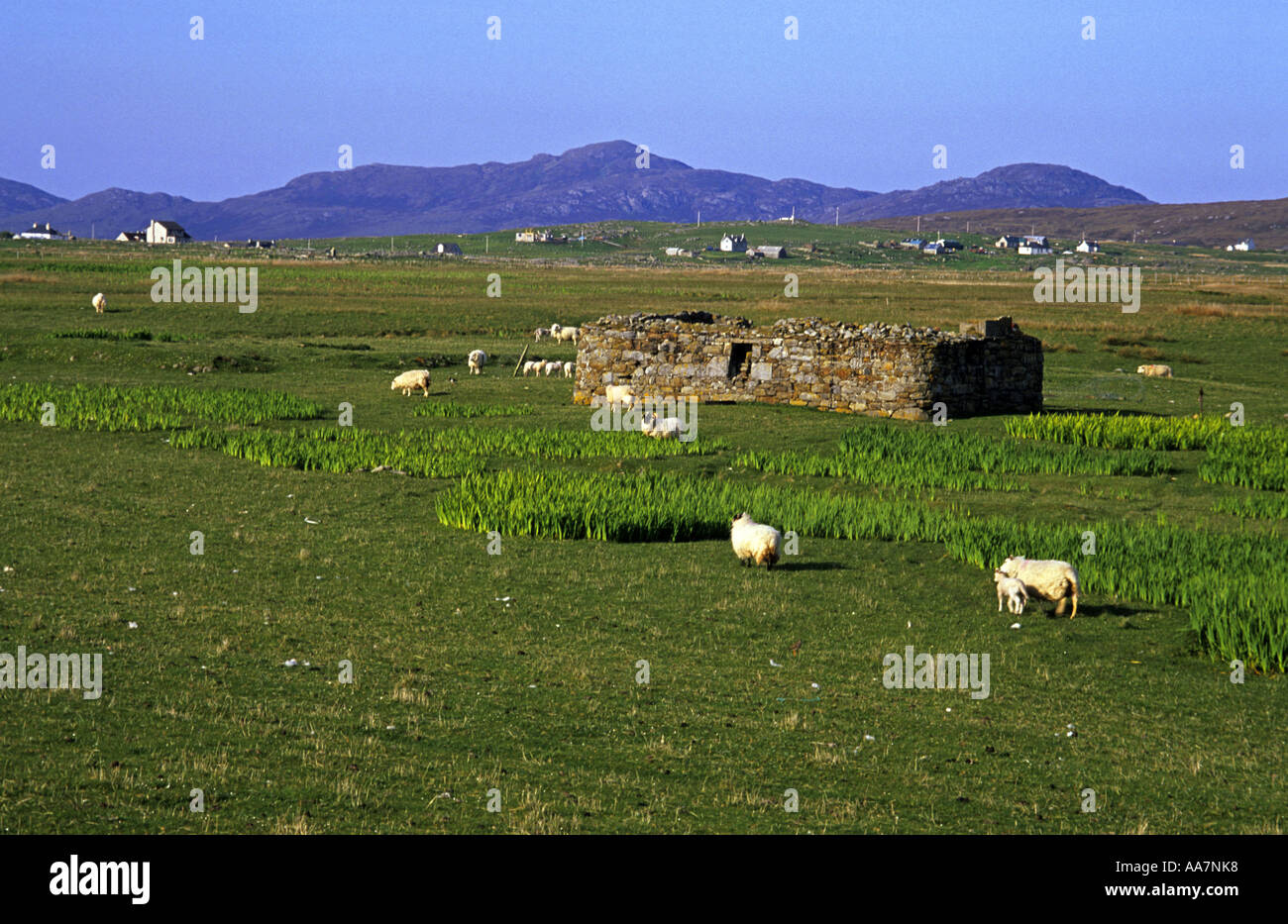 Hausruine South Uist äußeren Hebriden Schottland Stockfoto