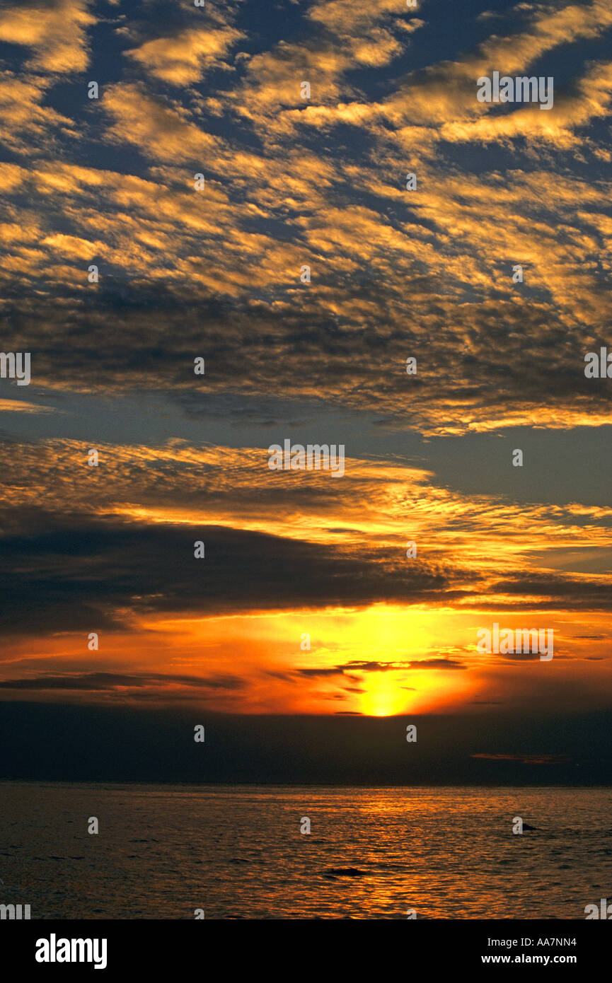 Sonnenuntergang mit Makrele Himmel aus Porth Nanven cornwall Stockfoto