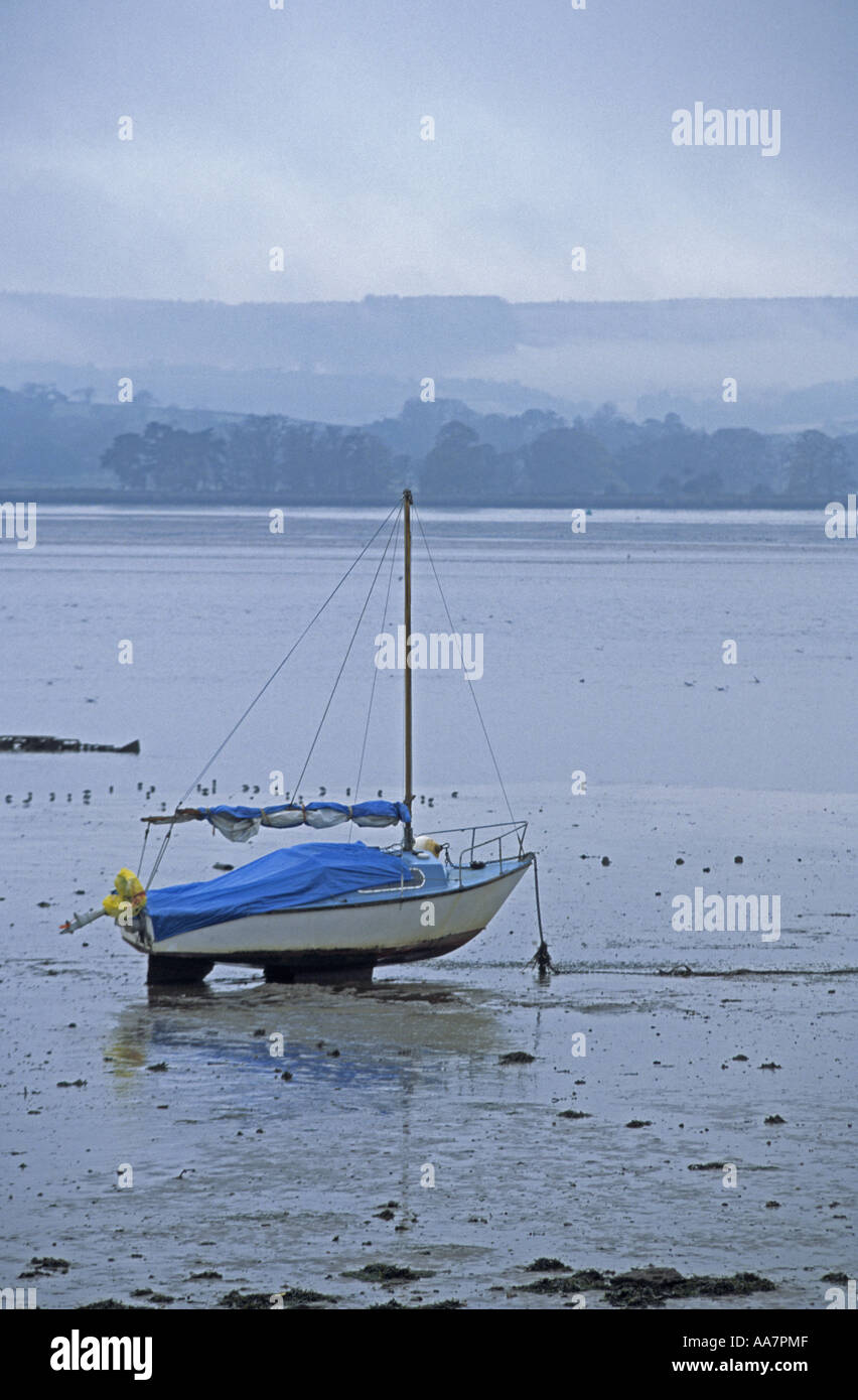 Exe-Mündung Devon 2005 Stockfoto