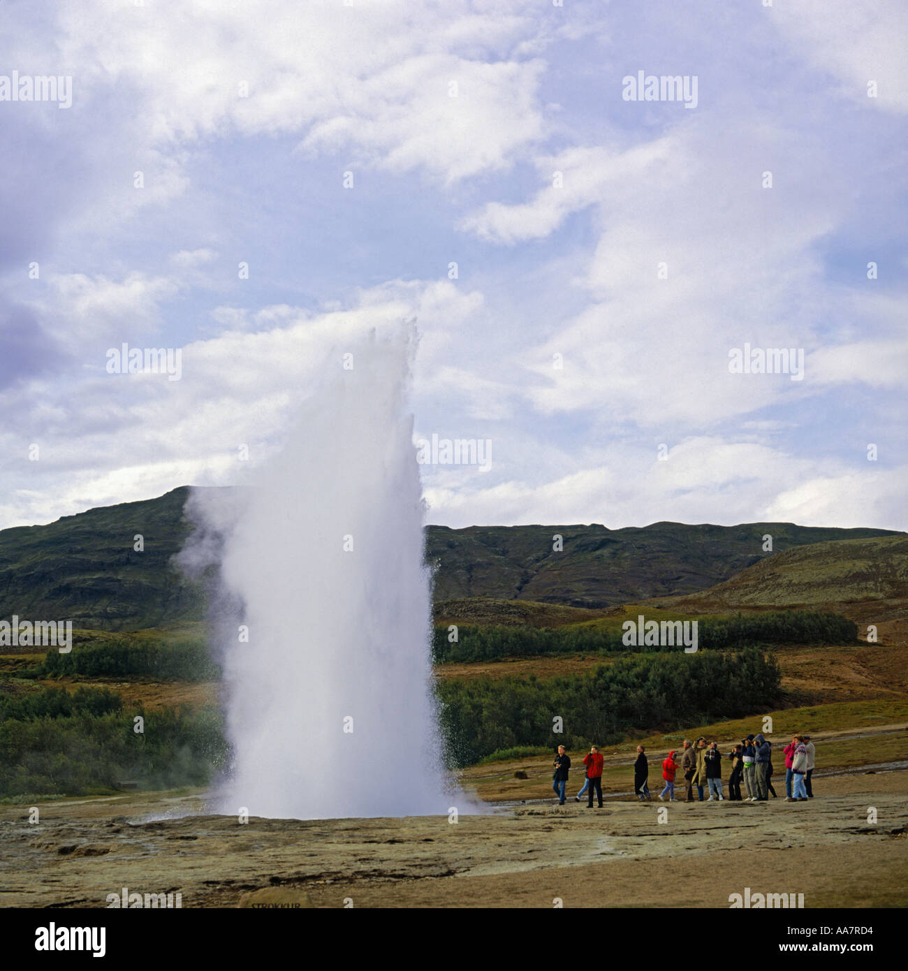 Strokkur Geysir in Aktion mit Wasserhose schießen nach oben in ein natürliches Phänomen während Gruppe von Menschen beobachten Geysir Island Stockfoto