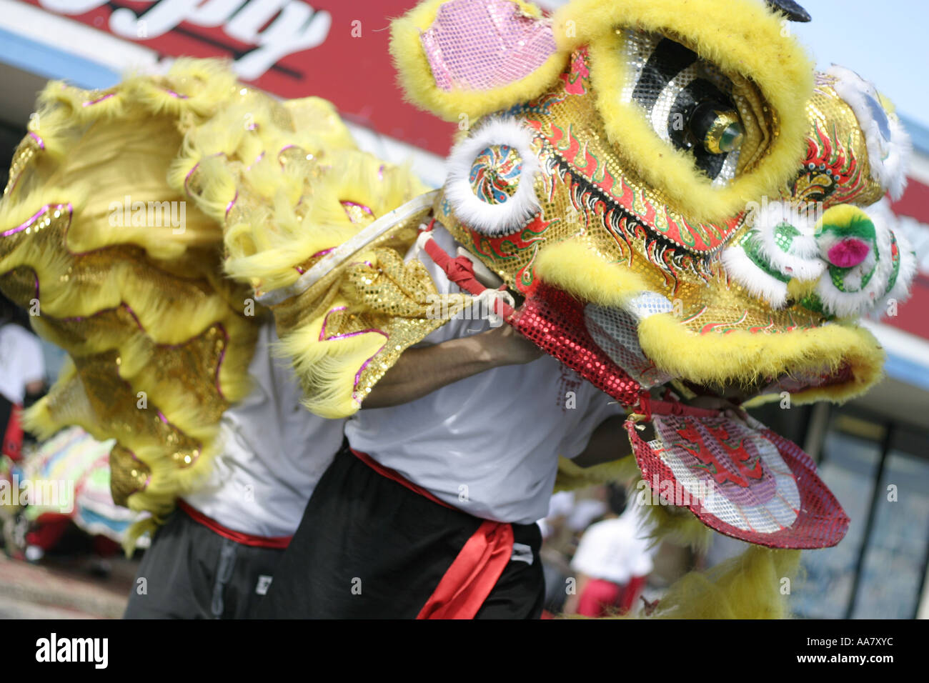 traditionelle Tänzer der Löwentanz um Glück für das neue Mondjahr bringen Stockfoto