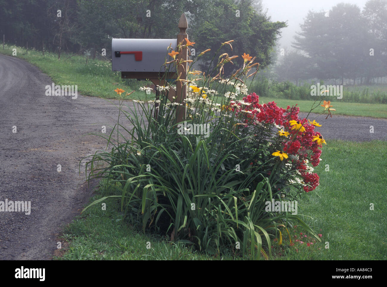 AJ5174, Vermont, VT Stockfoto